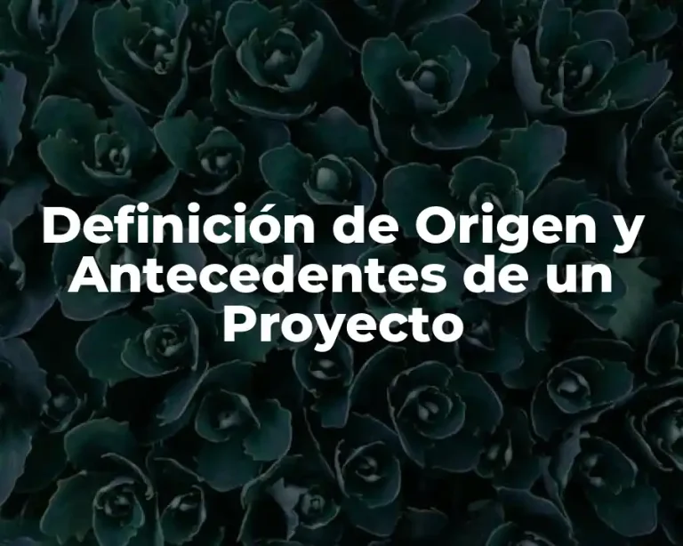 Definición de Origen y Antecedentes de un Proyecto