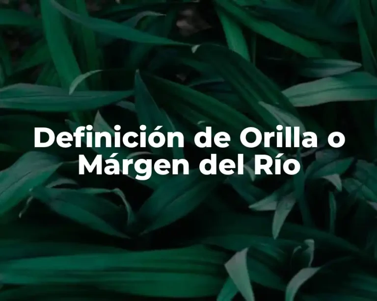 Definición de Orilla o Márgen del Río