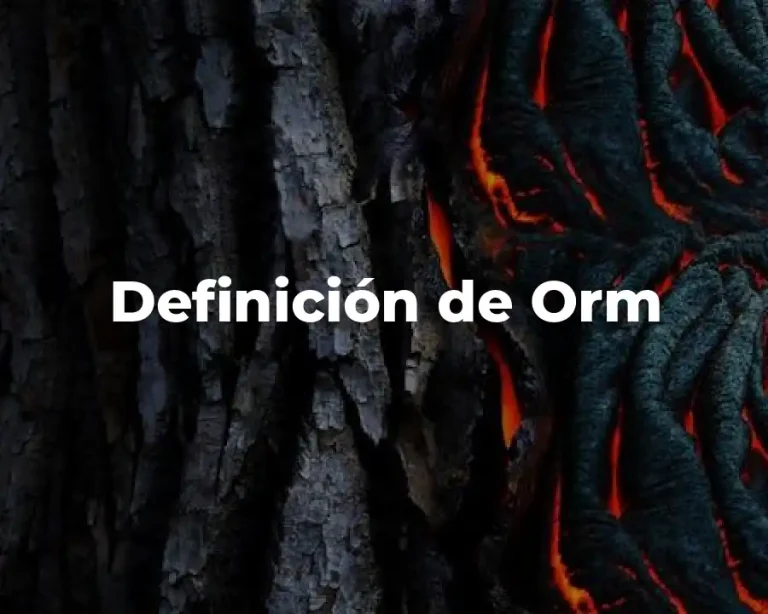 Definición de Orm