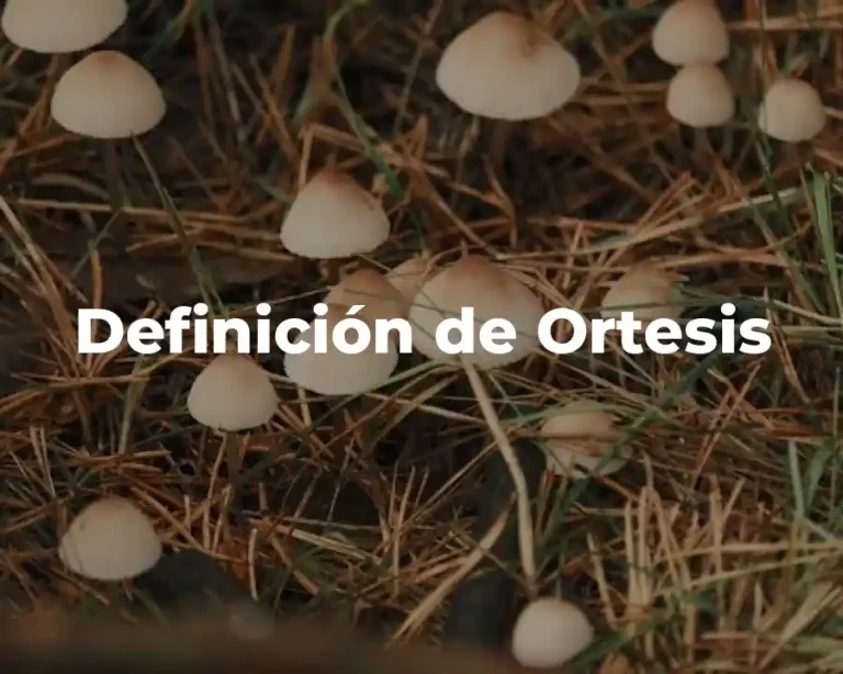 Definición de Ortesis