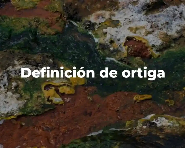 Definición de ortiga