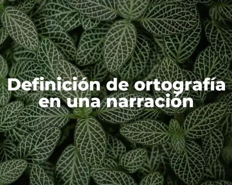 Definición de ortografía en una narración