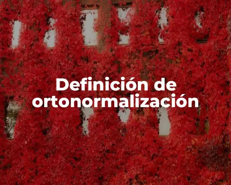 Definición de ortonormalización