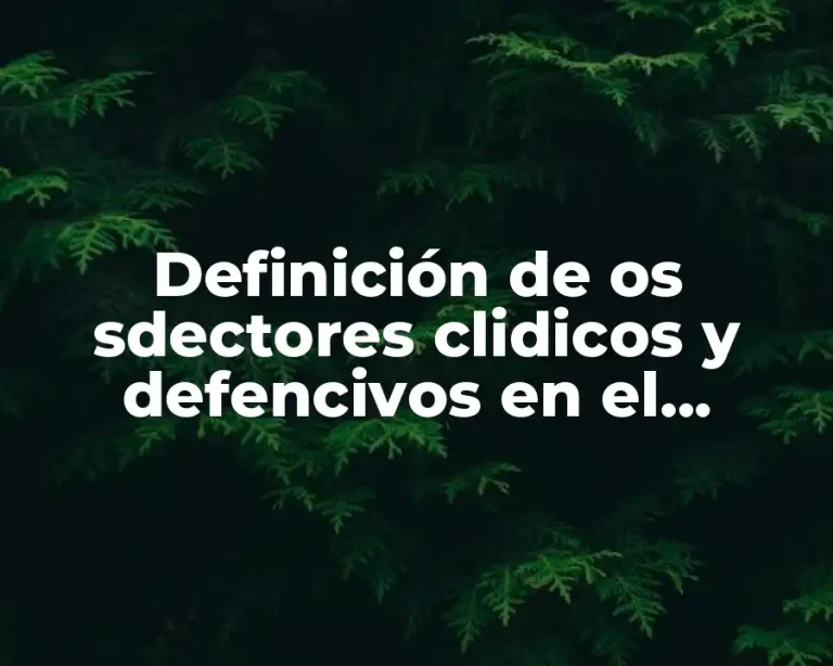 Definición de os sdectores clidicos y defencivos en el mercado