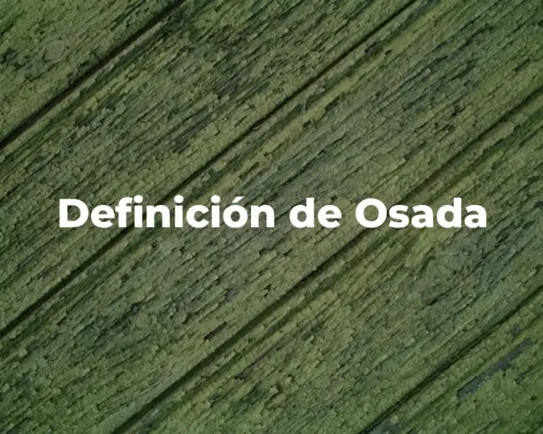 Definición de Osada