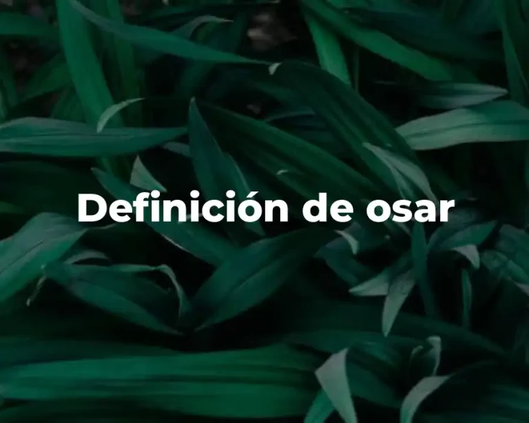 Definición de osar