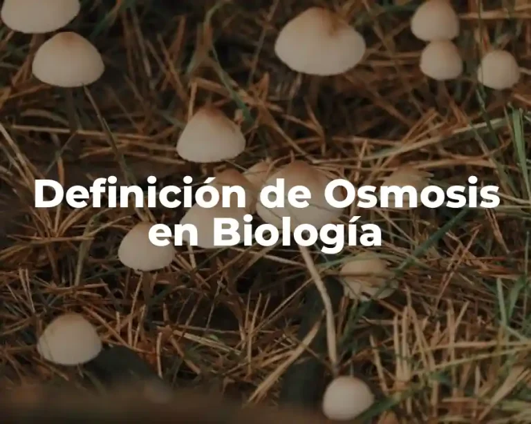 Definición de Osmosis en Biología