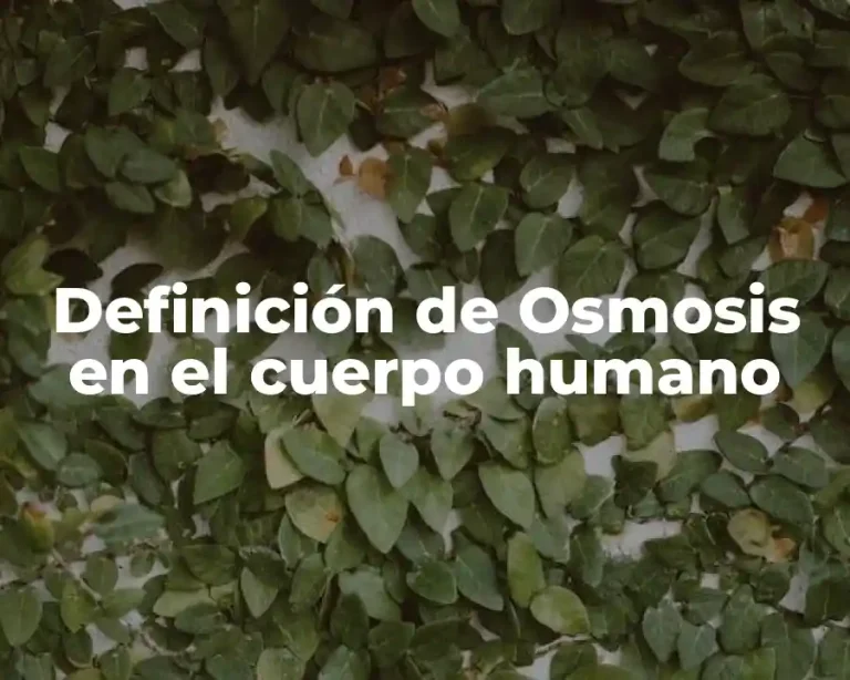 Definición de Osmosis en el cuerpo humano