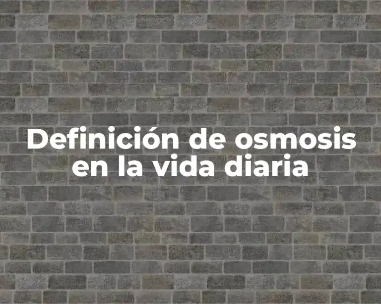 Definición de osmosis en la vida diaria
