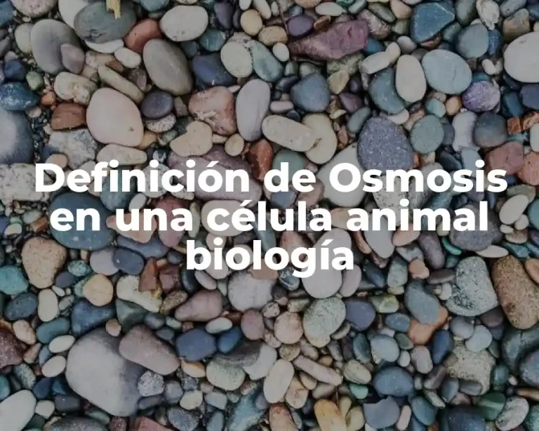 Definición de Osmosis en una célula animal biología
