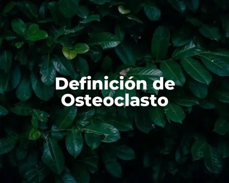 Definición de Osteoclasto
