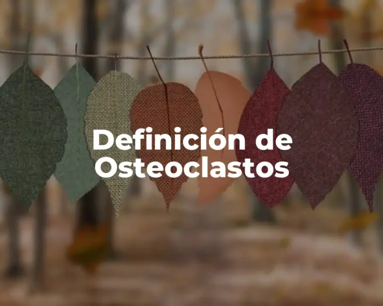 Definición de Osteoclastos
