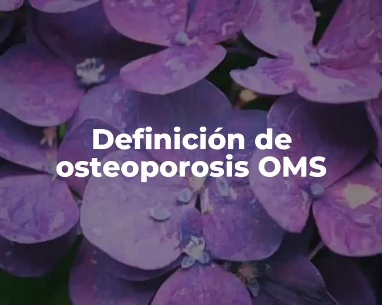 Definición de osteoporosis OMS