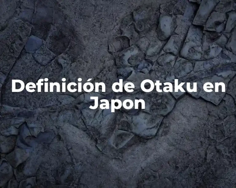 Definición de Otaku en Japon