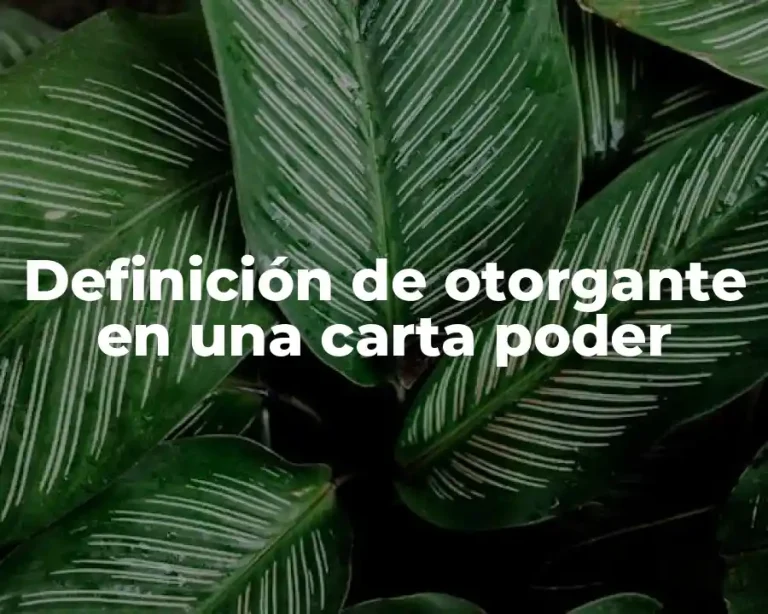 Definición de otorgante en una carta poder