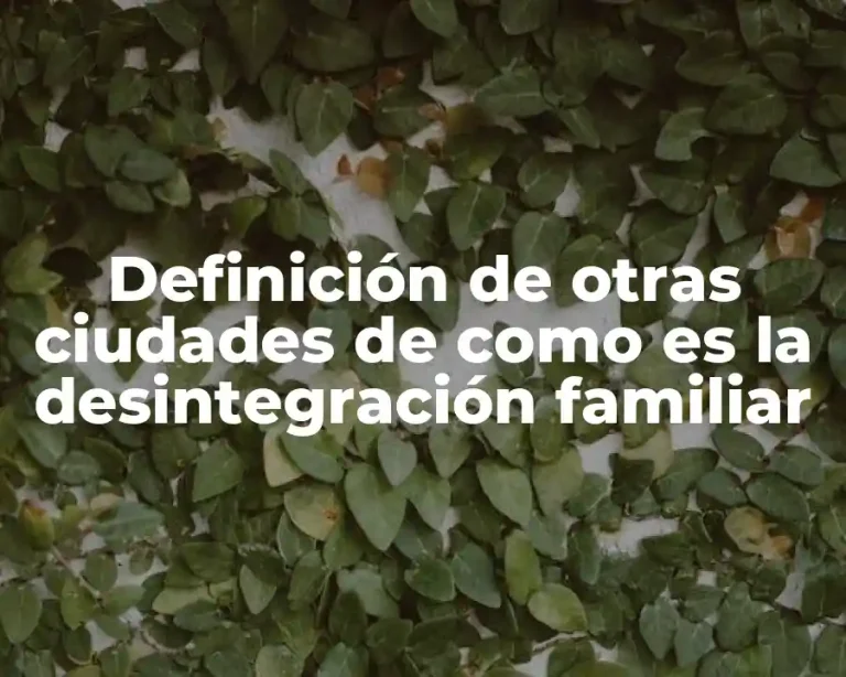 Definición de otras ciudades de como es la desintegración familiar
