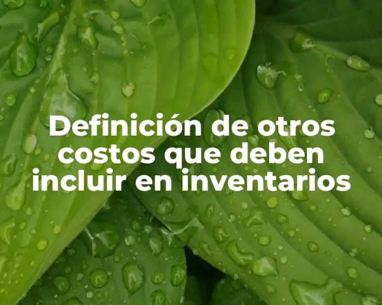 Definición de otros costos que deben incluir en inventarios