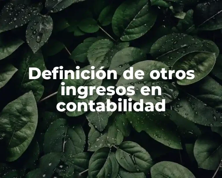 Definición de otros ingresos en contabilidad