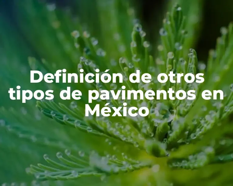 Definición de otros tipos de pavimentos en México