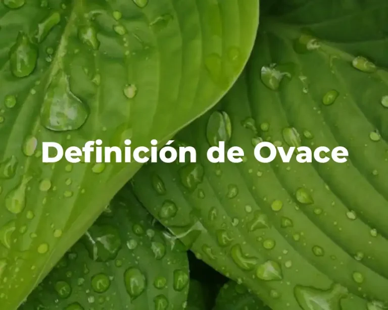 Definición de Ovace