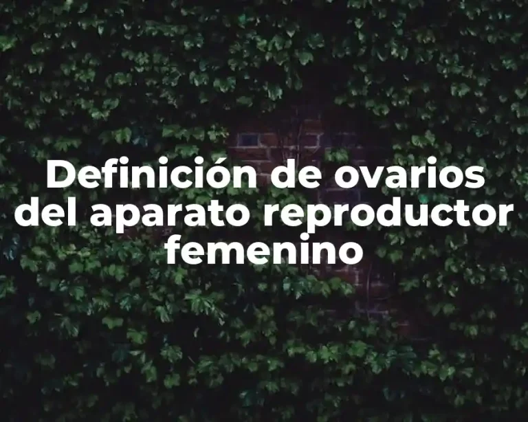 Definición de ovarios del aparato reproductor femenino