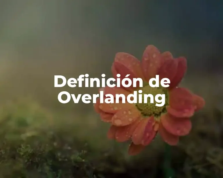 Definición de Overlanding
