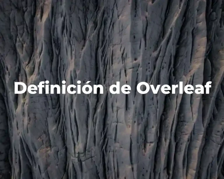 Definición de Overleaf