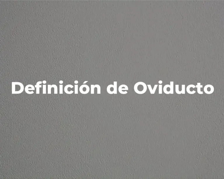 Definición de Oviducto