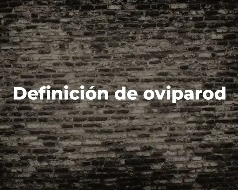 Definición de oviparod