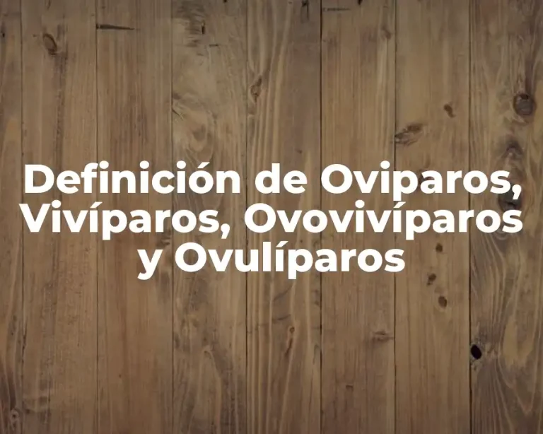 Definición de Oviparos, Vivíparos, Ovovivíparos y Ovulíparos