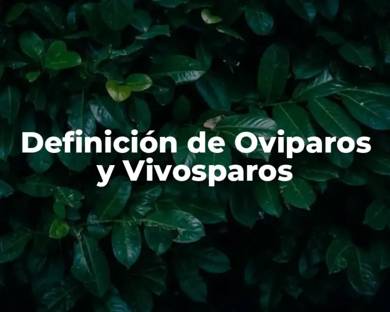 Definición de Oviparos y Vivosparos