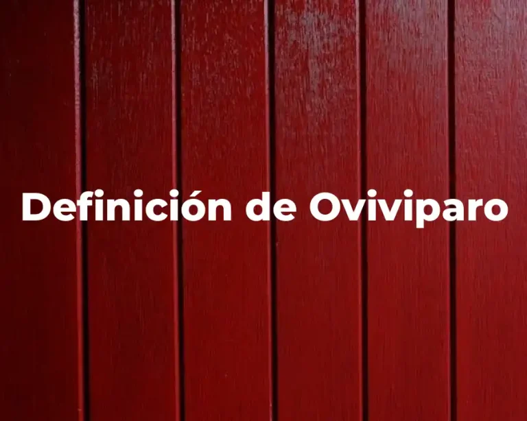 Definición de Oviviparo