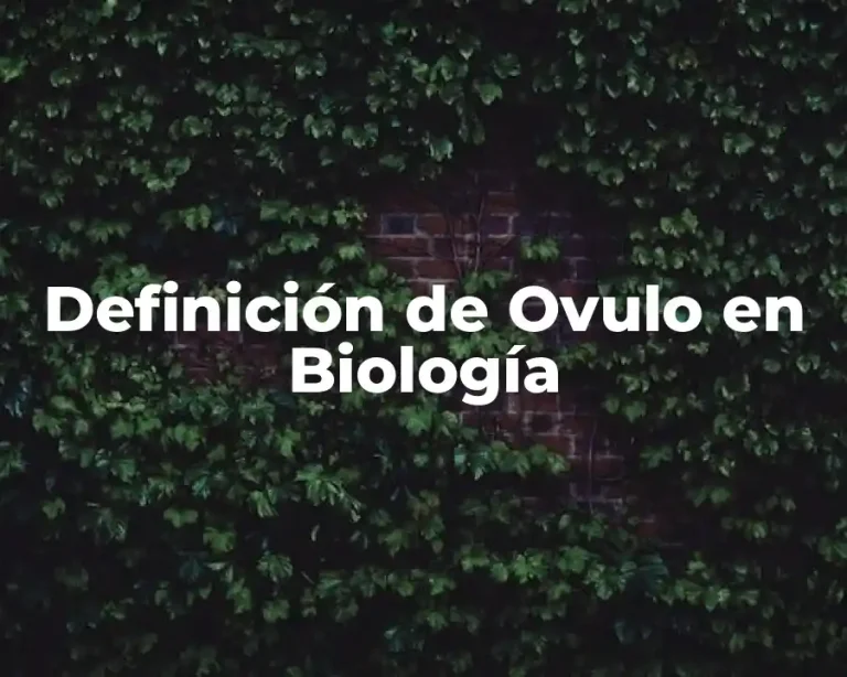 Definición de Ovulo en Biología
