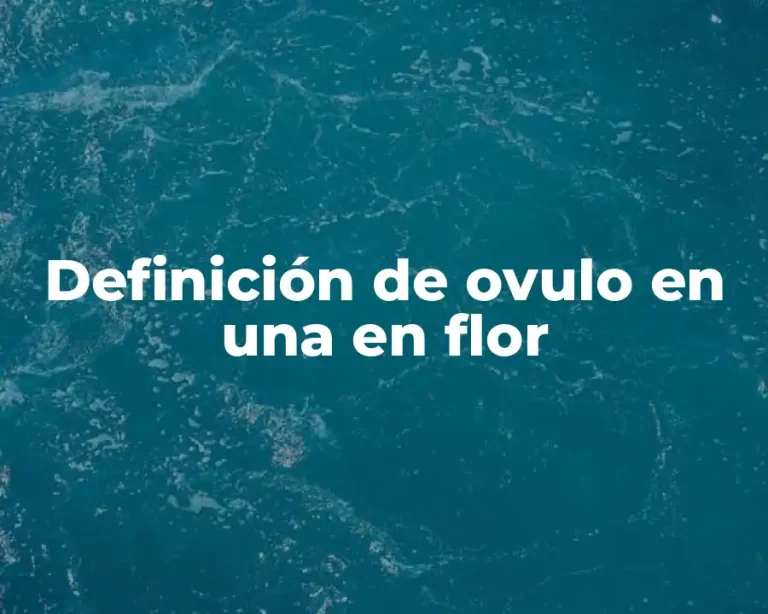 Definición de ovulo en una en flor