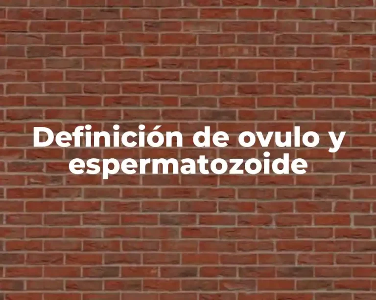 Definición de ovulo y espermatozoide