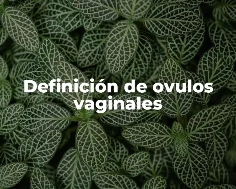 Definición de ovulos vaginales