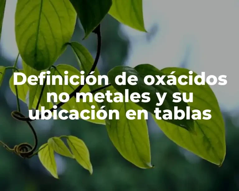 Definición de oxácidos no metales y su ubicación en tablas