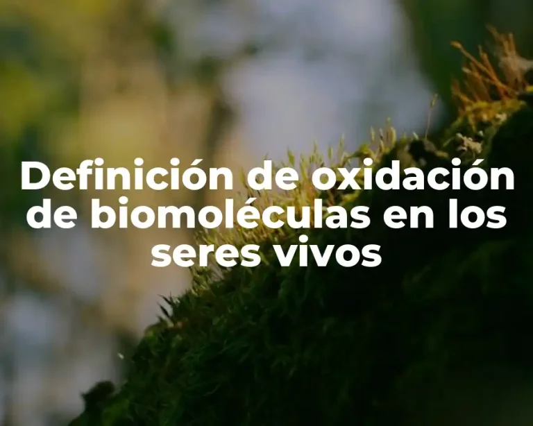 Definición de oxidación de biomoléculas en los seres vivos