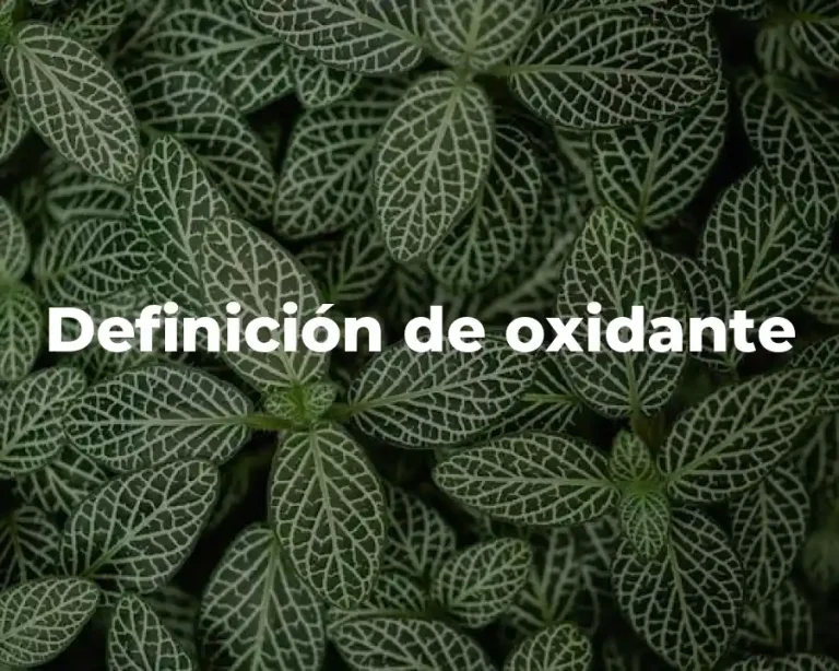 Definición de oxidante
