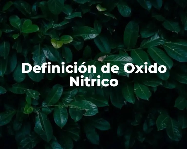 Definición de Oxido Nitrico