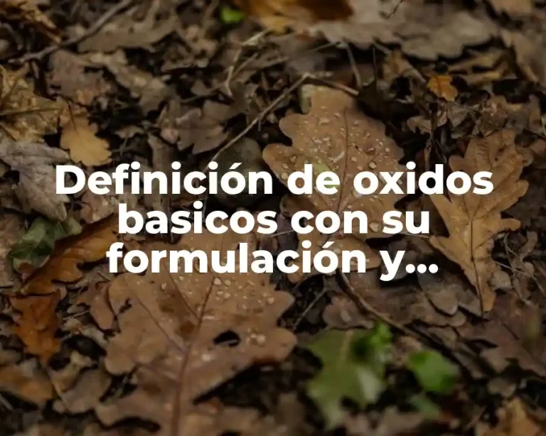 Definición de oxidos basicos con su formulación y nomenclatura
