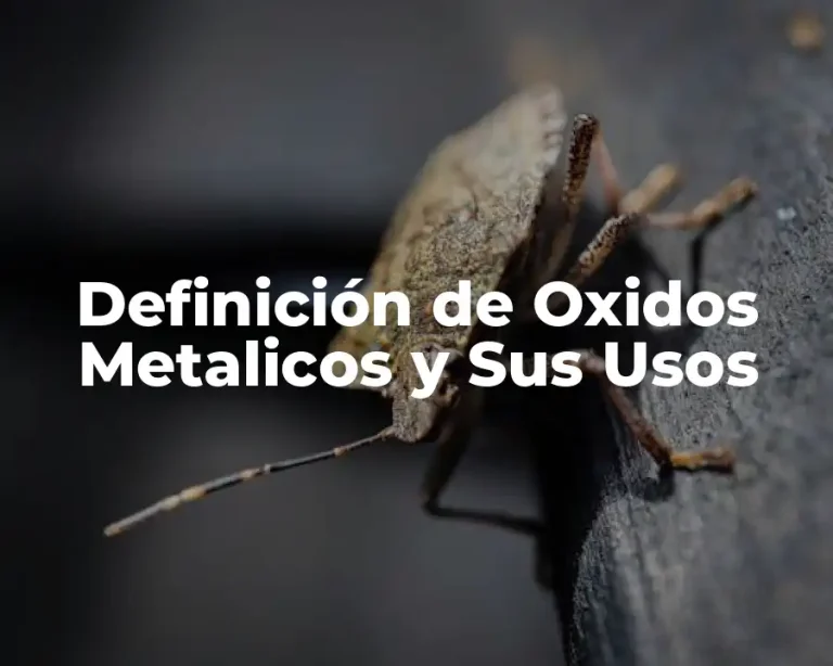 Definición de Oxidos Metalicos y Sus Usos