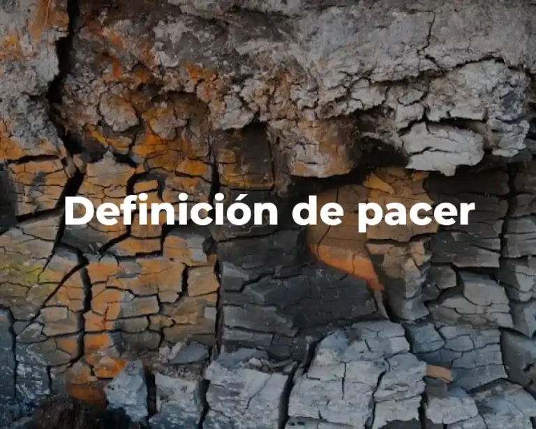 Definición de pacer