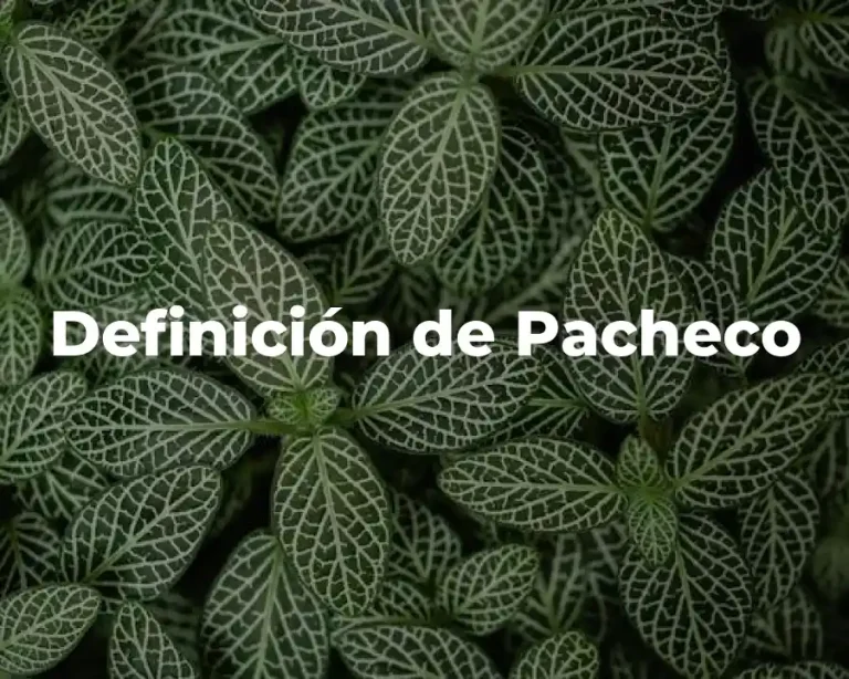 Definición de Pacheco