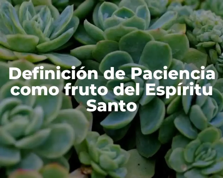 Definición de Paciencia como fruto del Espíritu Santo