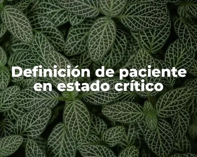 Definición de paciente en estado crítico