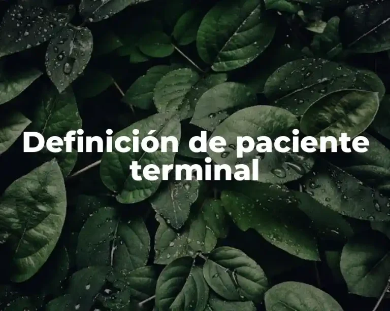 Definición de paciente terminal