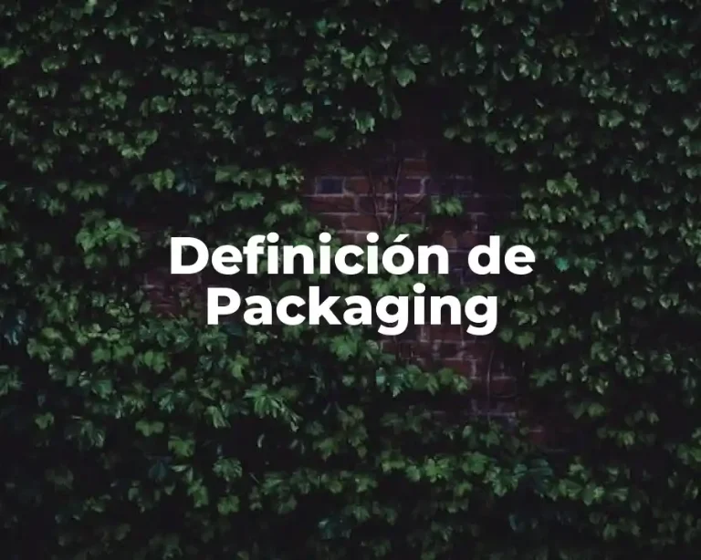 Definición de Packaging