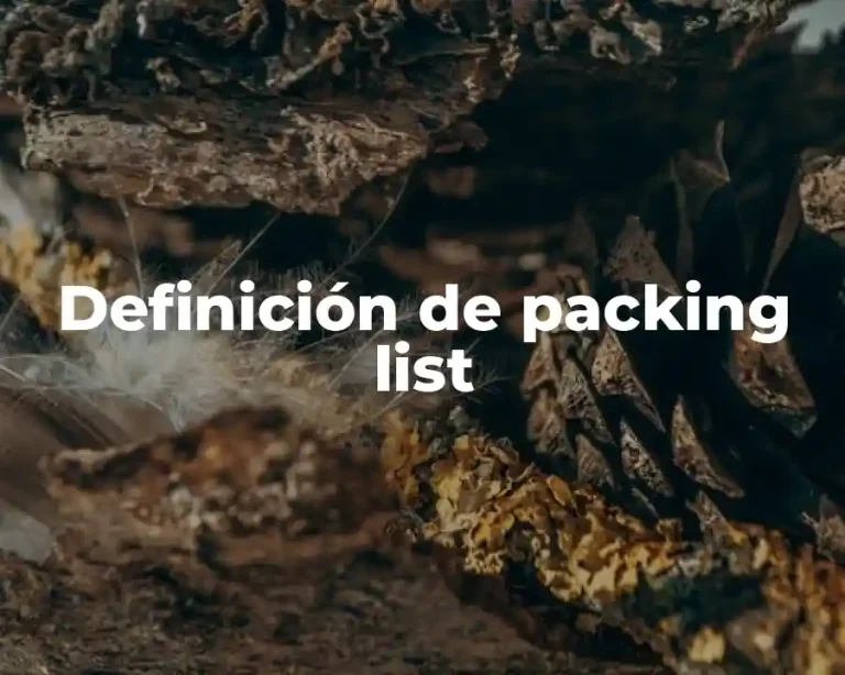 Definición de packing list