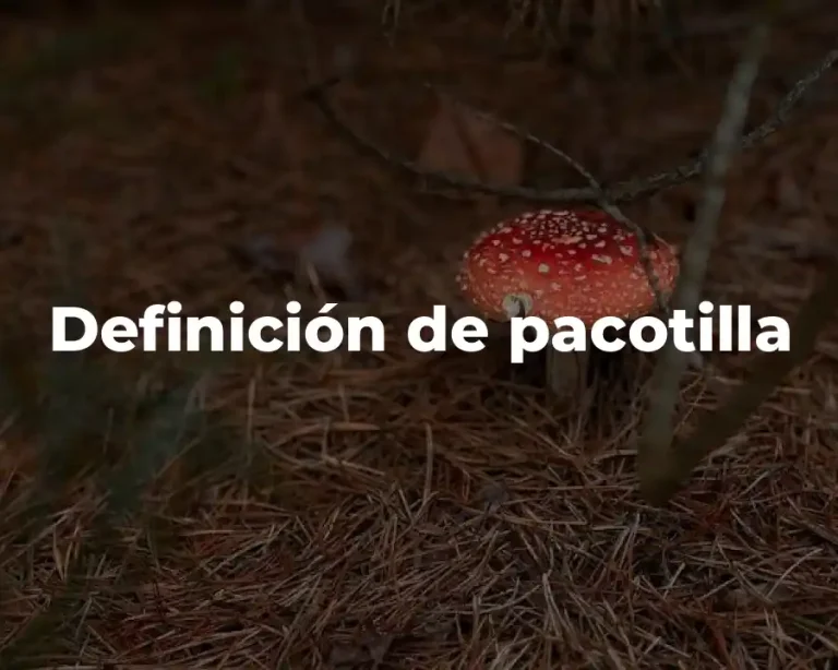Definición de pacotilla